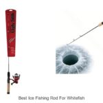 Top 15 Best Ice Fishing Rod For Whitefish That Catch Big!