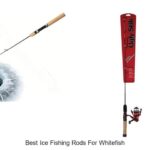 Top 15 Best Ice Fishing Rods for Whitefish You Need Now