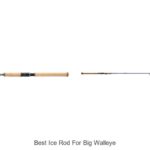 Top 15 Best Ice Rod For Big Walleye You Can’t Miss!