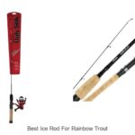 Top 15 Best Ice Rod for Rainbow Trout You Can’t Miss