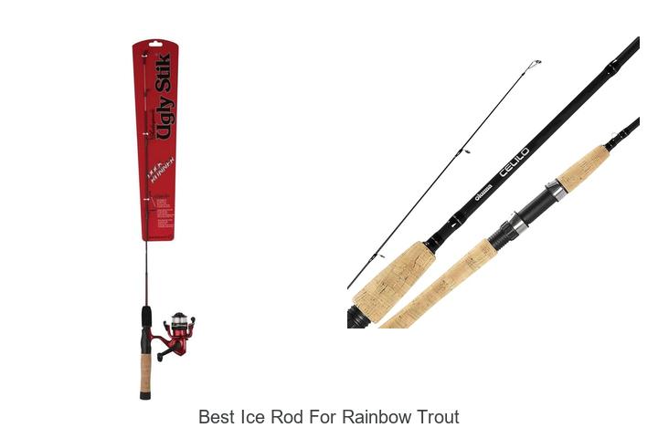Top 15 Best Ice Rod for Rainbow Trout You Can’t Miss