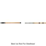 Top 15 Best Ice Rod For Steelhead That Will Catch Big Fish!