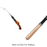 Top 15 Best Ice Rod for Walleye That Catch Big Fish Fast
