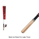 Top 15 Best Ice Rods for Lake Trout That Catch Big!