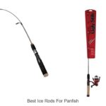 Top 15 Best Ice Rods for Panfish That Will Boost Your Catch
