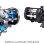 Top 15 Best Inexpensive Deep Sea Trolling Reels That Shock!