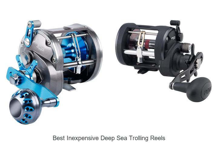 Top 15 Best Inexpensive Deep Sea Trolling Reels That Shock!