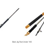 Top 15 Best Jig Rod Under 100 That Every Angler Needs!
