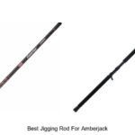 Top 15 Best Jigging Rod For Amberjack That Catch Big!