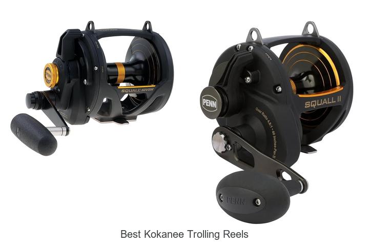 Top 15 Best Kokanee Trolling Reels That Will Boost Your Catch