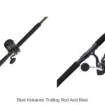 Top 15 Best Kokanee Trolling Rod and Reel You Need Now