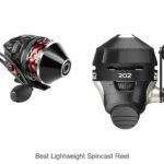 Top 15 Best Lightweight Spincast Reel You Can’t Ignore