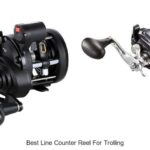 Top 15 Best Line Counter Reel For Trolling You Must Try