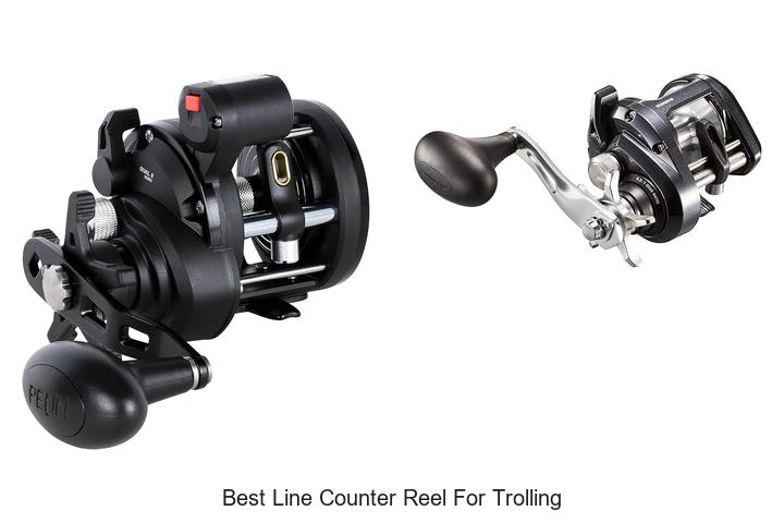 Top 15 Best Line Counter Reel For Trolling You Must Try