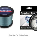 Top 15 Best Line For Trolling Reels That Catch Big Fish!
