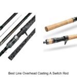 Top 15 Best Line Overhead Casting A Switch Rod Revealed!