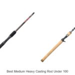 Top 15 Best Medium Heavy Casting Rod Under 100 You Need!
