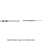 Top 15 Best Medium Light Ice Fishing Rods You Can’t Miss