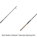 Top 15 Best Medium Saltwater Telescopic Spinning Rod Picks