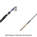 Top 15 Best Medium Telescopic Spinning Rod You Can’t Miss