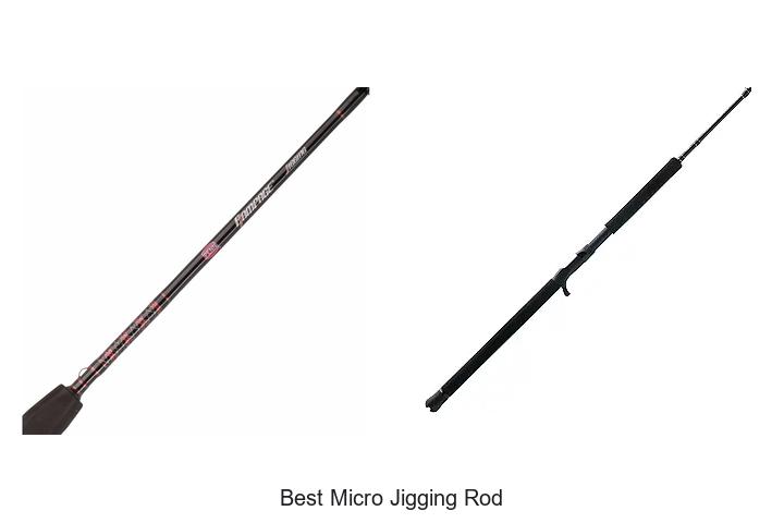 Top 15 Best Micro Jigging Rod That Will Blow Your Mind