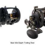 Top 15 Best Mid Depth Trolling Reel That Will Boost Catch!