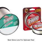 Top 15 Best Mono Line For Spincast Reel That Shock Anglers