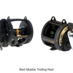 Top 15 Best Muskie Trolling Reel That Will Blow Your Mind