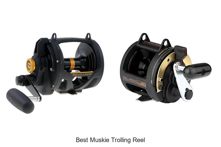 Top 15 Best Muskie Trolling Reel That Will Blow Your Mind