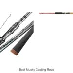 Top 15 Best Musky Casting Rods That Will Blow Your Mind