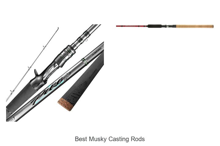 Top 15 Best Musky Casting Rods That Will Blow Your Mind