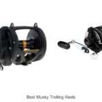 Top 15 Best Musky Trolling Reels That Catch Giants!
