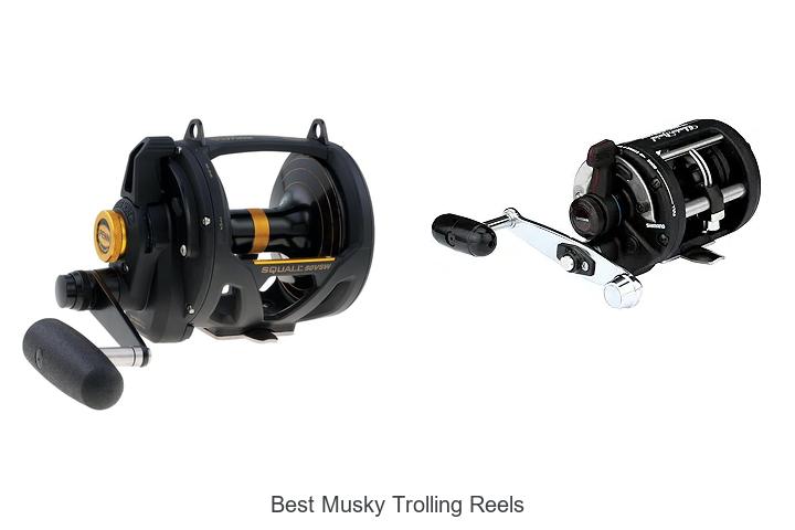 Top 15 Best Musky Trolling Reels That Catch Giants!