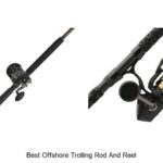 Top 15 Best Offshore Trolling Rod and Reel You Need Now