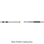 Top 15 Best Panfish Casting Rods You Can’t Miss!