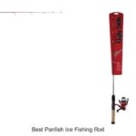 Top 15 Best Panfish Ice Fishing Rods That Catch More Fish!