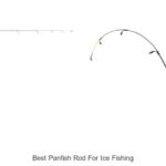 Top 15 Best Panfish Rod For Ice Fishing You Must Try Today