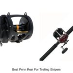 Top 15 Best Penn Reel for Trolling Stripers You Need Now