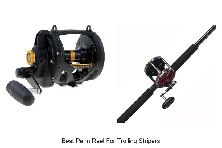 Top 15 Best Penn Reel for Trolling Stripers You Need Now
