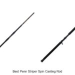 Top 15 Best Penn Striper Spin Casting Rod You Need Now