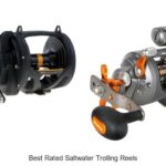 Top 15 Best Rated Saltwater Trolling Reels You Need Now