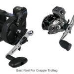 Top 15 Best Reel For Crappie Trolling You Can’t Miss!