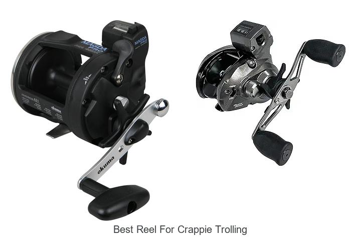 Top 15 Best Reel For Crappie Trolling You Can’t Miss!