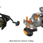 Top 15 Best Reel For Inshore Trolling You Can’t Miss!