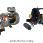 Top 15 Best Reel For Musky Trolling That Experts Swear By