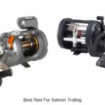 Top 15 Best Reel For Salmon Trolling To Catch More Fish!