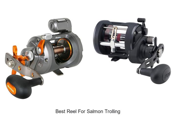 Top 15 Best Reel For Salmon Trolling To Catch More Fish!