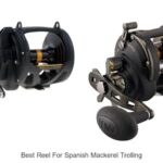 Top 15 Best Reel for Spanish Mackerel Trolling Revealed!