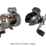 Top 15 Best Reel For Striper Trolling You Must Try Now!