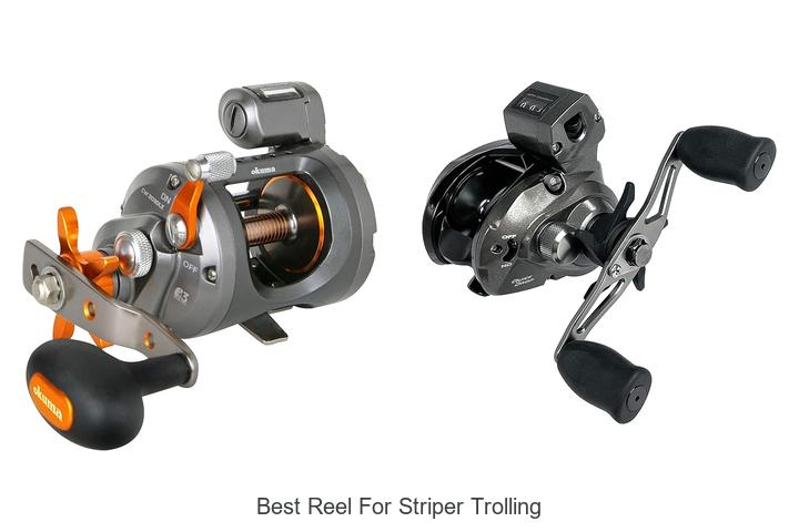 Top 15 Best Reel For Striper Trolling You Must Try Now!